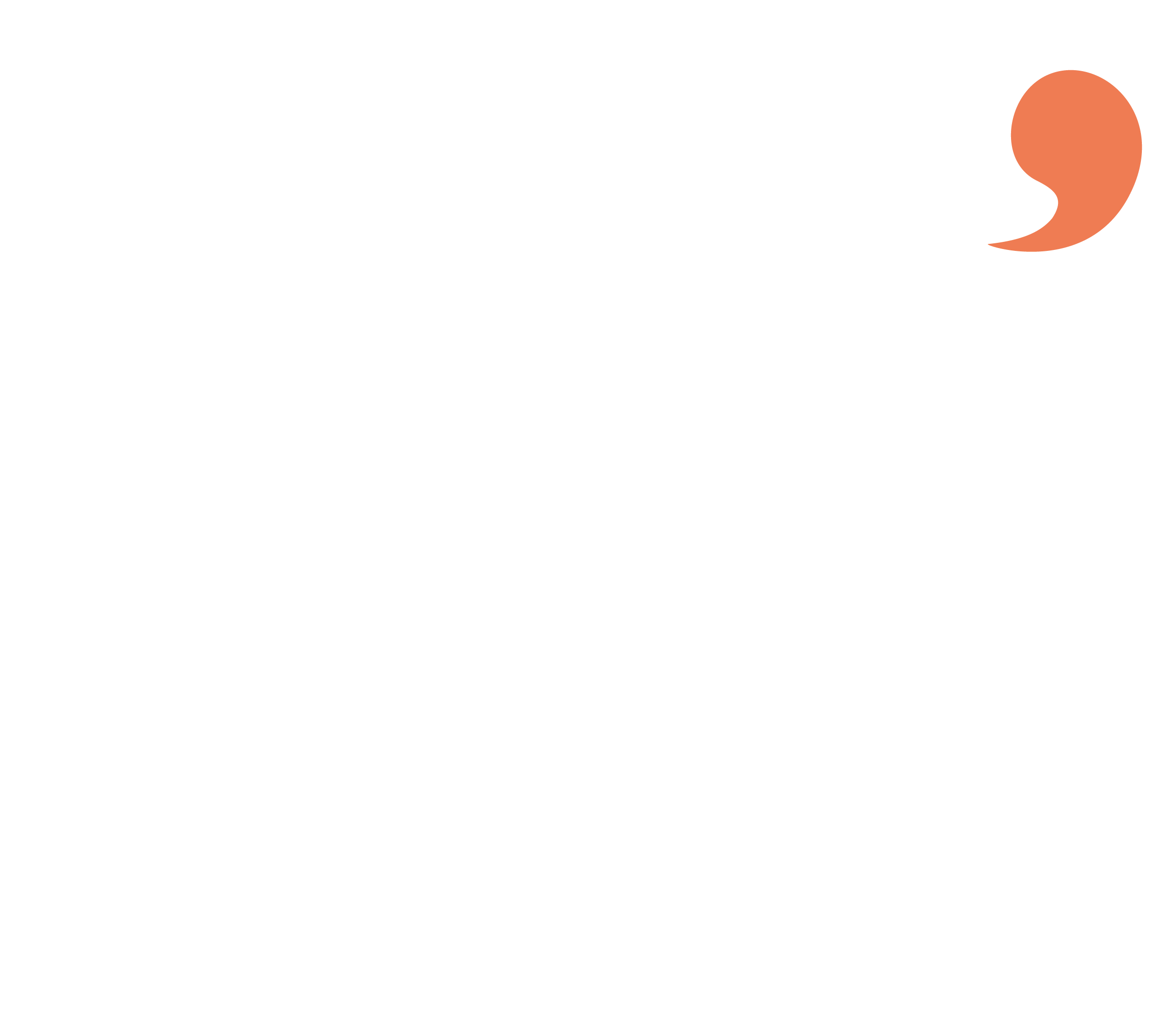 Logo White
